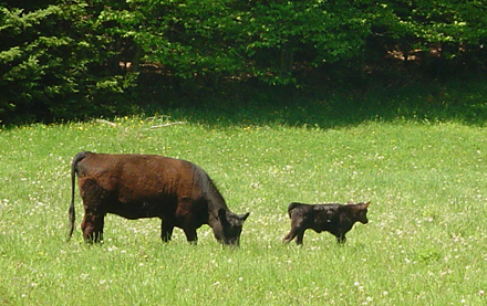 Our next generation Our next generation